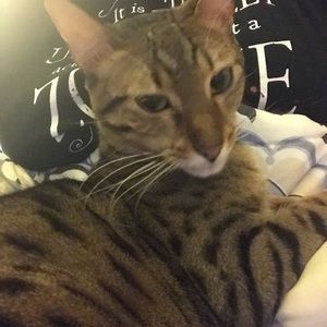 Meet your Posher, Rachel